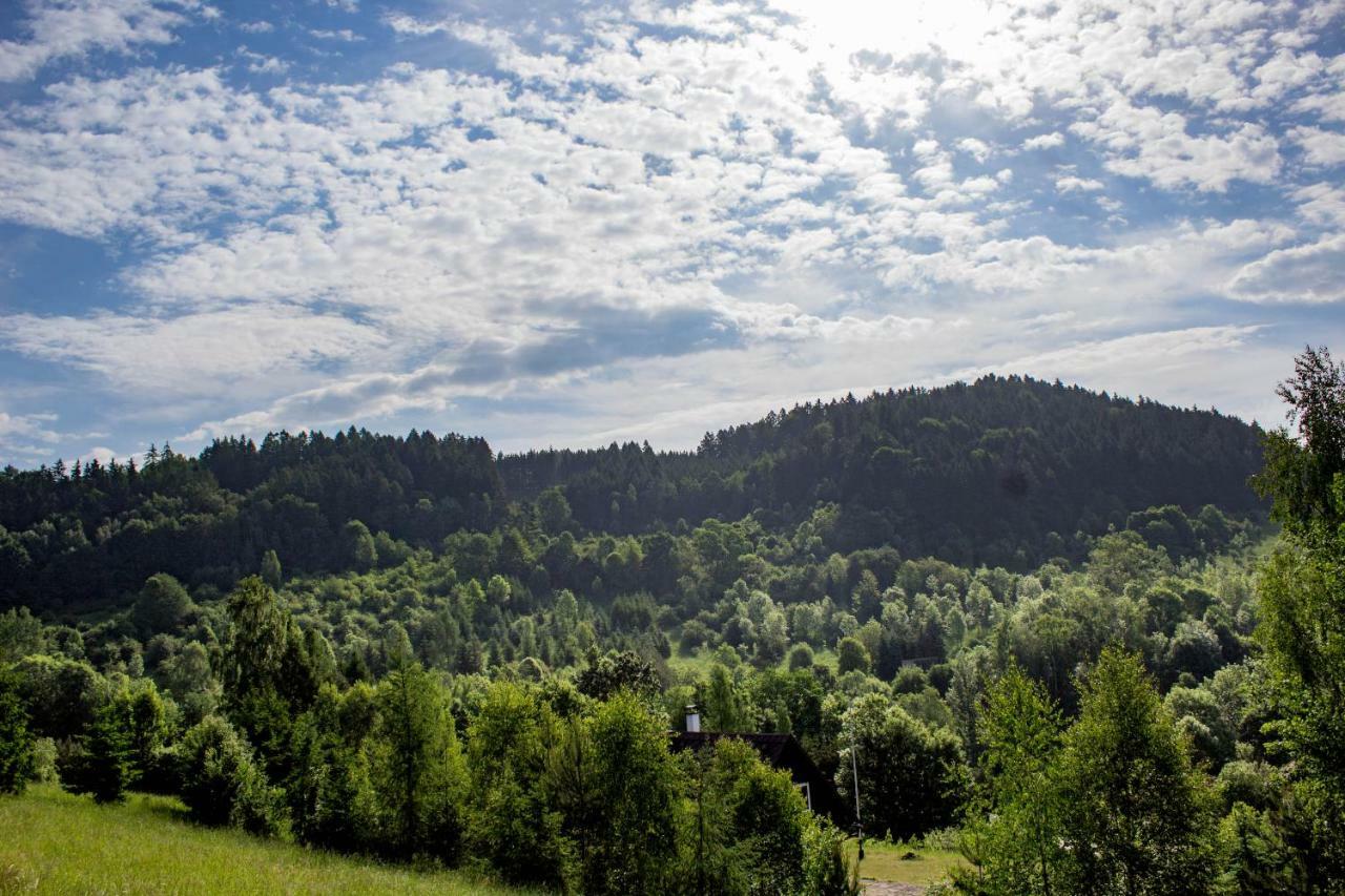Holiday Villa Stupna Vidochov المظهر الخارجي الصورة
